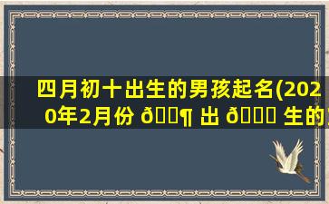 四月初十出生的男孩起名(2020年2月份 🐶 出 🍁 生的宝宝取名)